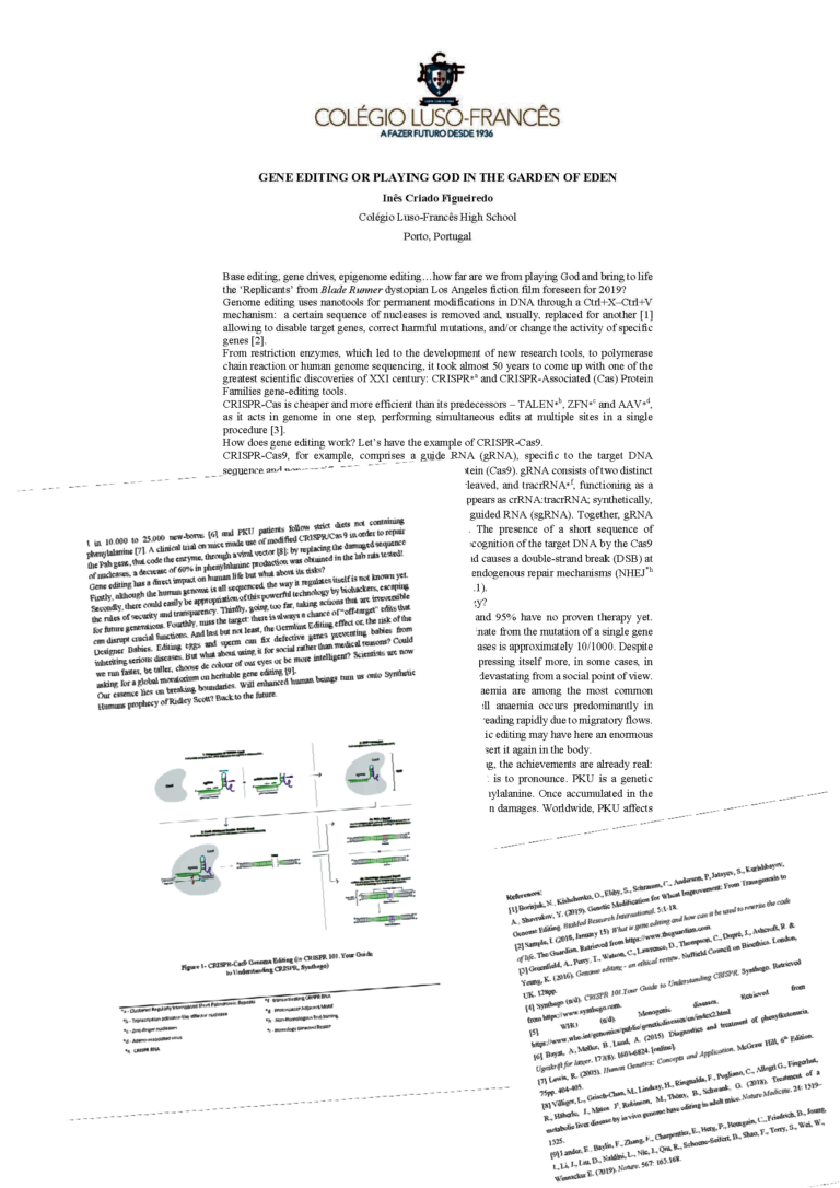 Dna essay example picture