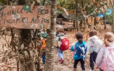 Bosque dos Pirilampos | Pré-escolar